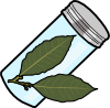 bay_leaf.png