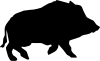 boar.png