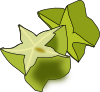 carambola.png