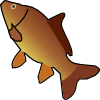carp.png