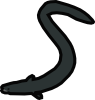 eel.png