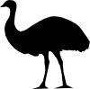 emu.png
