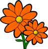 flowers.png