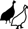 guinea_hen.png