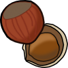 hazelnut.png