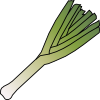leek.png