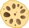 lotus_roots.png