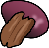 pecan.png