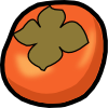 persimmon.png