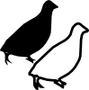 quail.png