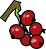 redcurrants.png