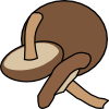 shitake.png