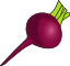 beet.png