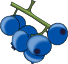 blueberries.png