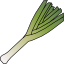 leek.png