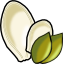 pumpkin_seeds.png