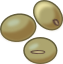 soybeans.png